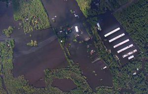 Florence flooding engulfs hog farms and chicken houses – Dead: 3.4 million chickens, 5000+ pigs