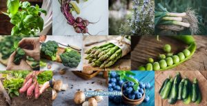 Learn Exactly How to Grow 25 Garden Favorites for Maximum Harvests