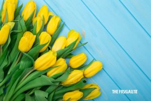 Seasonal Ideas for Spring Savings