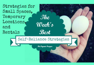 Self-Reliance Strategies for Small Spaces, Temporary Locations, and Rentals