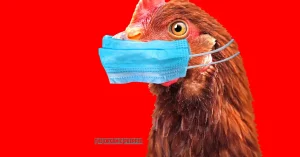 Dr. McCullough on Bird Flu: “A Perfect Storm is Brewing”