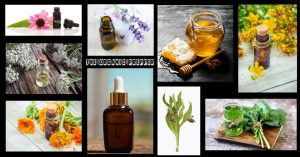 10 Herbs for Wound Care: A Prepper’s Herbal Medicine Cabinet